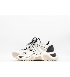 STEVE MADDEN SNEAKERS KINGDOM