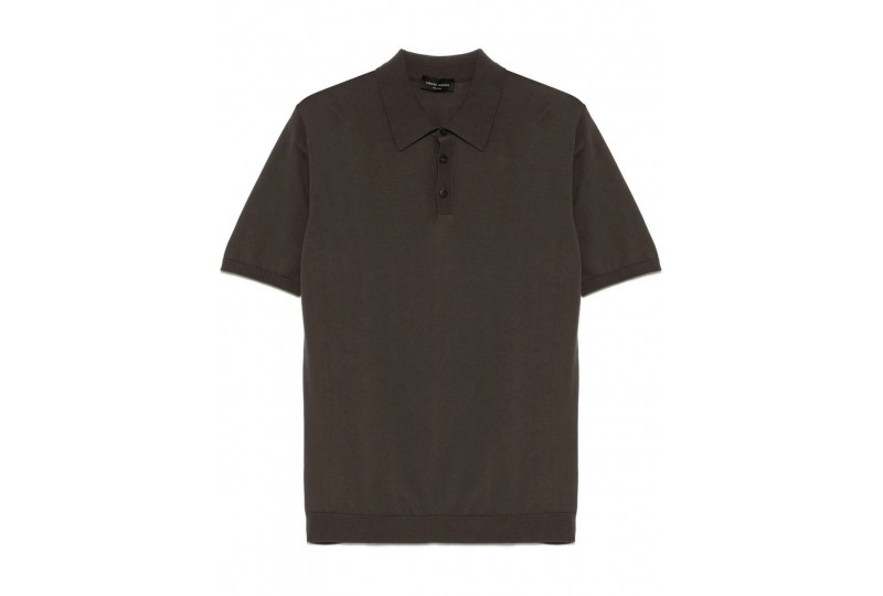 ROBERTO COLLINA POLO IN...