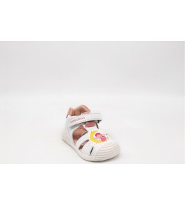 BIOMECANICS RAGNETTO BIMBA