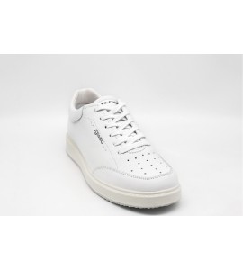 IGI &amp; CO Sneakers low cut in pelle