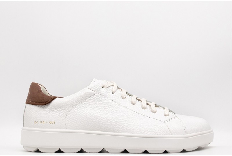 GEOX sneaker spherica ecub1