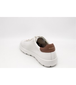 GEOX sneaker spherica ecub1