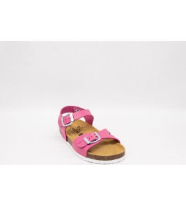 PLAKTON LISA HOUSTON FUXIA