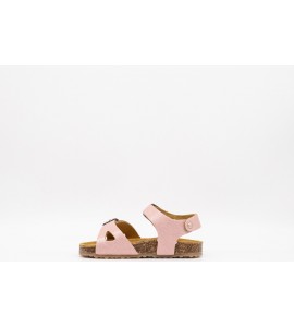 PLAKTON  POXY MARYLIN ROSA