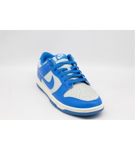 Nike Dunk Low Retro