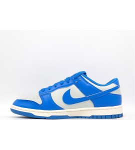 Nike Dunk Low Retro