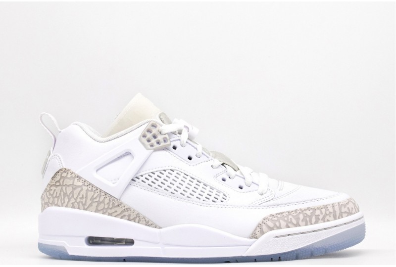 NIKE Jordan Spizike Low