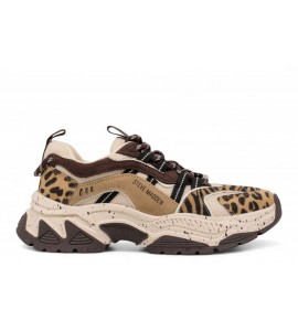 STEVE MADDEN SNEAKERS ANIMATES