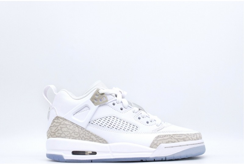 NIKE Jordan Spizike Low