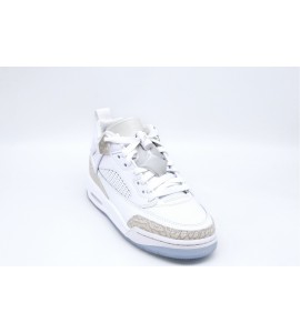 NIKE Jordan Spizike Low