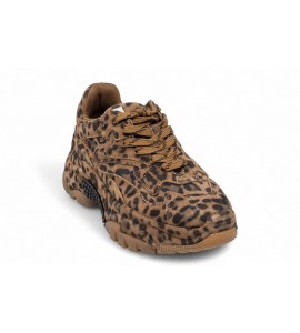 Ash Sneakers Addict BIS