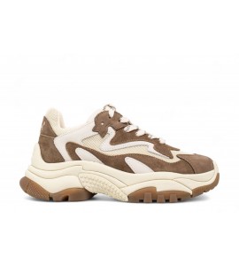 Ash Sneakers Addict 06 fandango