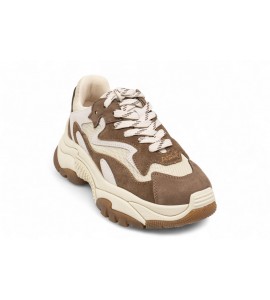 Ash Sneakers Addict 06 fandango