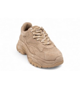 Ash Sneakers Addict BIS