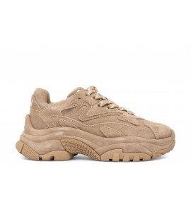 Ash Sneakers Addict BIS