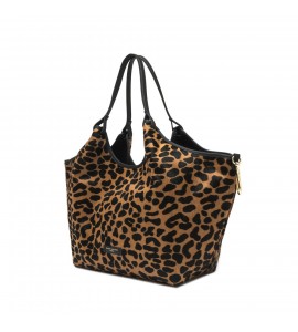 GIANNI CHIARINI DUA CAV