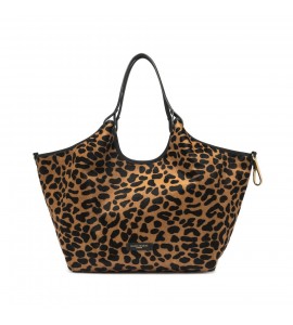 GIANNI CHIARINI DUA CAV