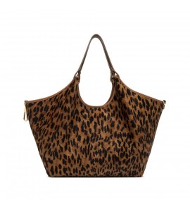 GIANNI CHIARINI DUA CAV