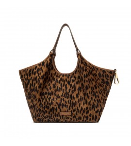 GIANNI CHIARINI DUA CAV