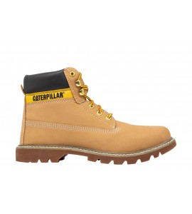 CAT POLACCO COLORADO 2.0