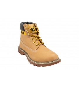 CAT POLACCO COLORADO 2.0