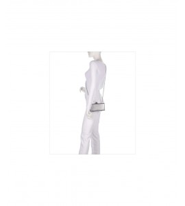 COCCINELLE POCHETTE RIGIDA LELIV steel