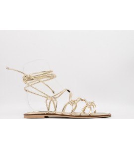 STEVE MADDEN ZAPPY