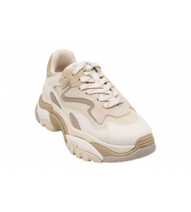 ASH SNEAKERS ADDICT SS26-S-126379-001 TALC/VAPOUR