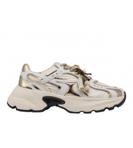 GIO+ RUNNING DALIA 13 GOLD