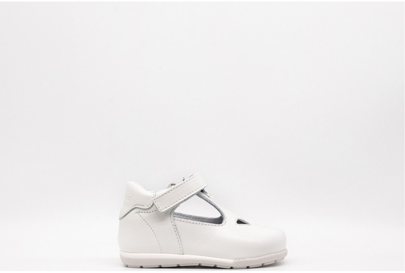 BALDUCCI A SCARPA CON...