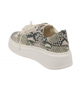 GIO+ SNEAKER PIA612A COMBI pito