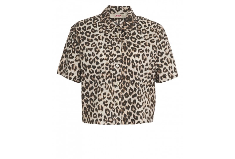 JUCCA J4312293/27M/397...