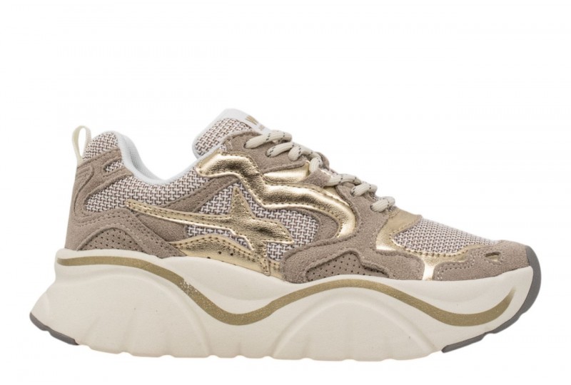 W6YZ donna 2019468.04.1M18...
