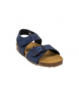 PLAKTON 125659 PINTO TAMPONATO MARINO 10
