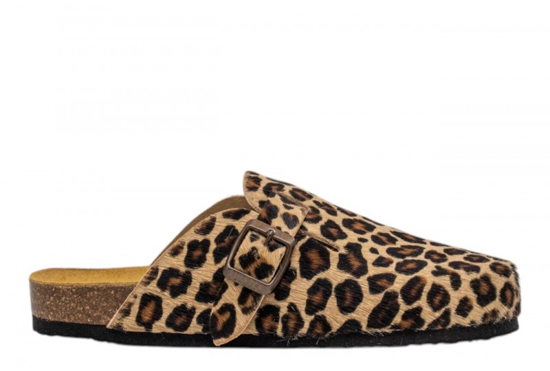 PLAKTON 181539 BLOGG ANIMAL...