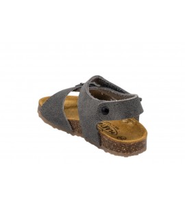 PLAKTON 125659 PINTO TAMPONATO GRIS 11