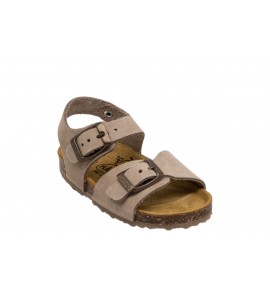 PLAKTON 855065 NOBUCK 2 TAUPE SA