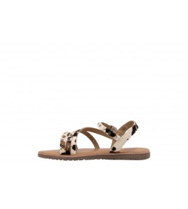 GIOSEPPO BAMBINA 79266 KIMILILI COW