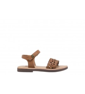 GIOSEPPO BAMBINA 78901 DIPOLOG CAMEL