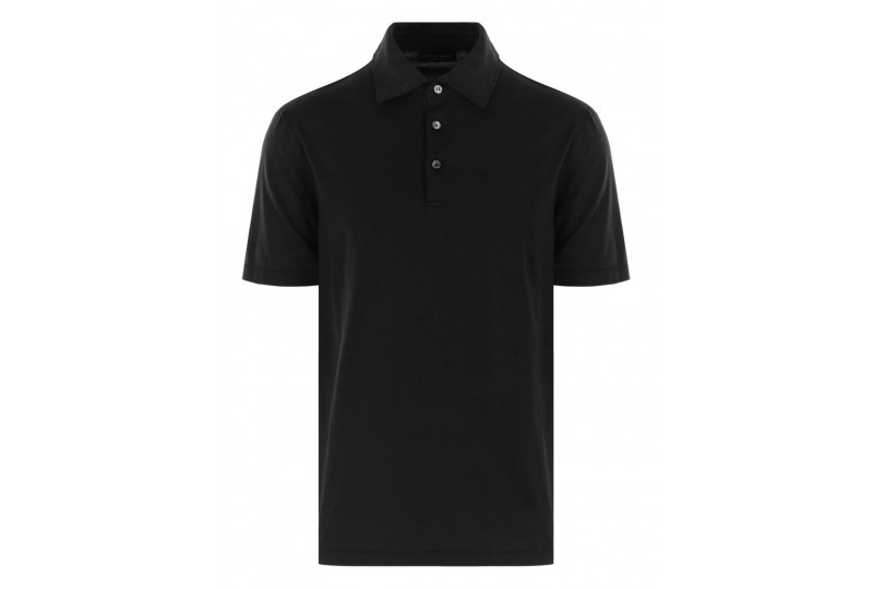 ROBERTO COLLINA POLO...