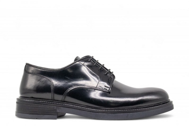 ROGAL'S DERBY ARA 31 LUX