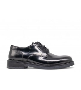 ROGAL'S DERBY ARA 31 LUX