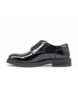 ROGAL'S DERBY ARA 31 LUX
