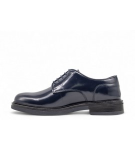ROGAL'S DERBY ARA 31 LUX