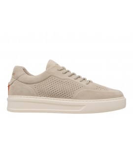 BARRACUDA UOMO BU3612 PHOENIX CAMOSCIO CALCE