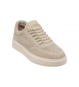 BARRACUDA UOMO BU3612 PHOENIX CAMOSCIO CALCE