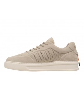 BARRACUDA UOMO BU3612 PHOENIX CAMOSCIO CALCE