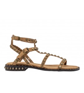 ASH sandalo PLUS SS26-M-130289-004 MOKA MOU
