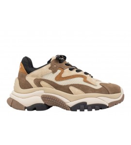 ASH ADDICT FW26-S-126379-002 FANDANGO/CAPPUCINO