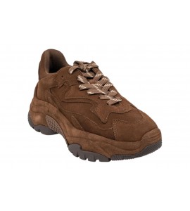 ASH sneaker FW26-M-151356-001 ADDICT BIS MINK